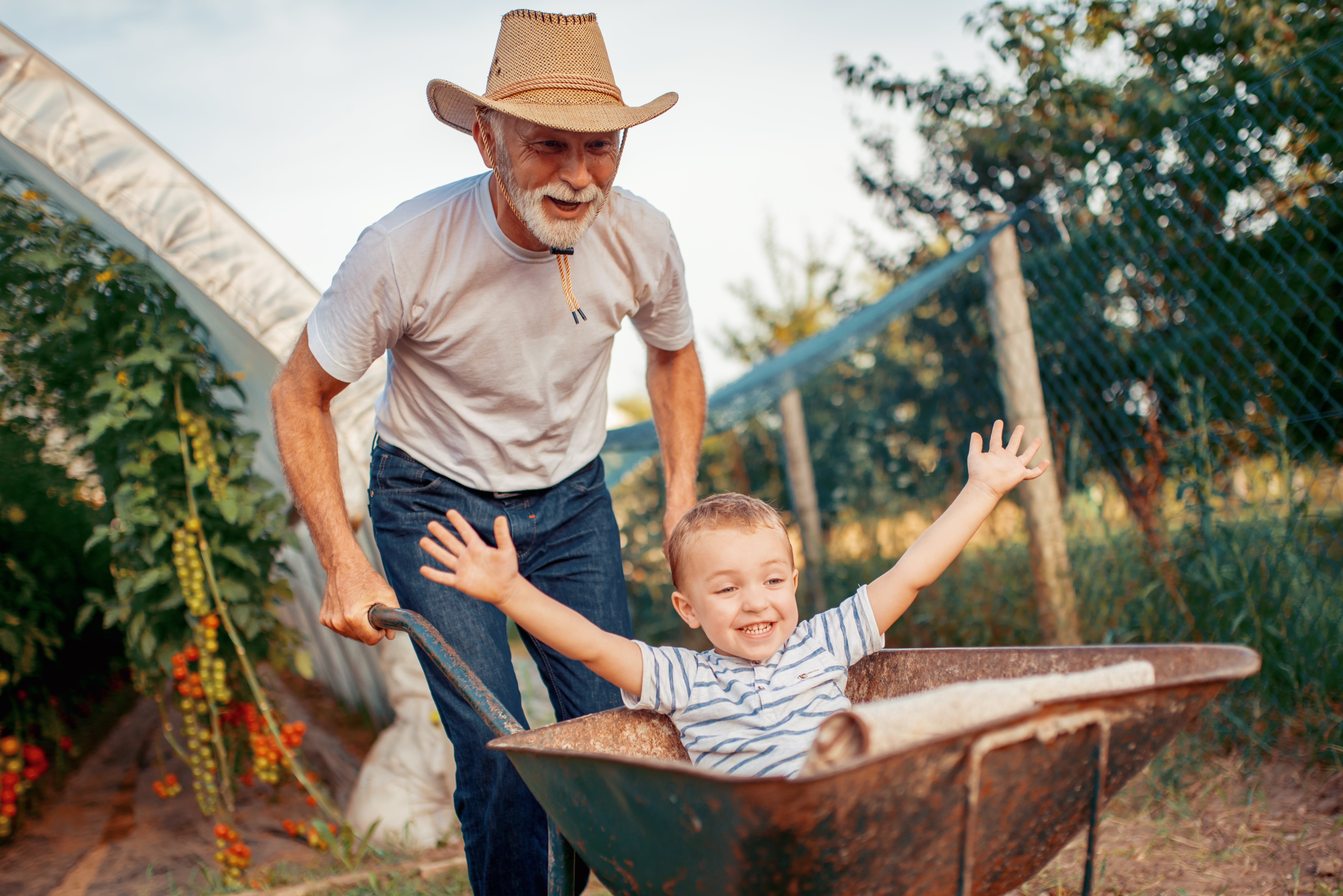 Un homme pousse une brouette avec un enfant. Des plantes se trouvent en arrière-plan.