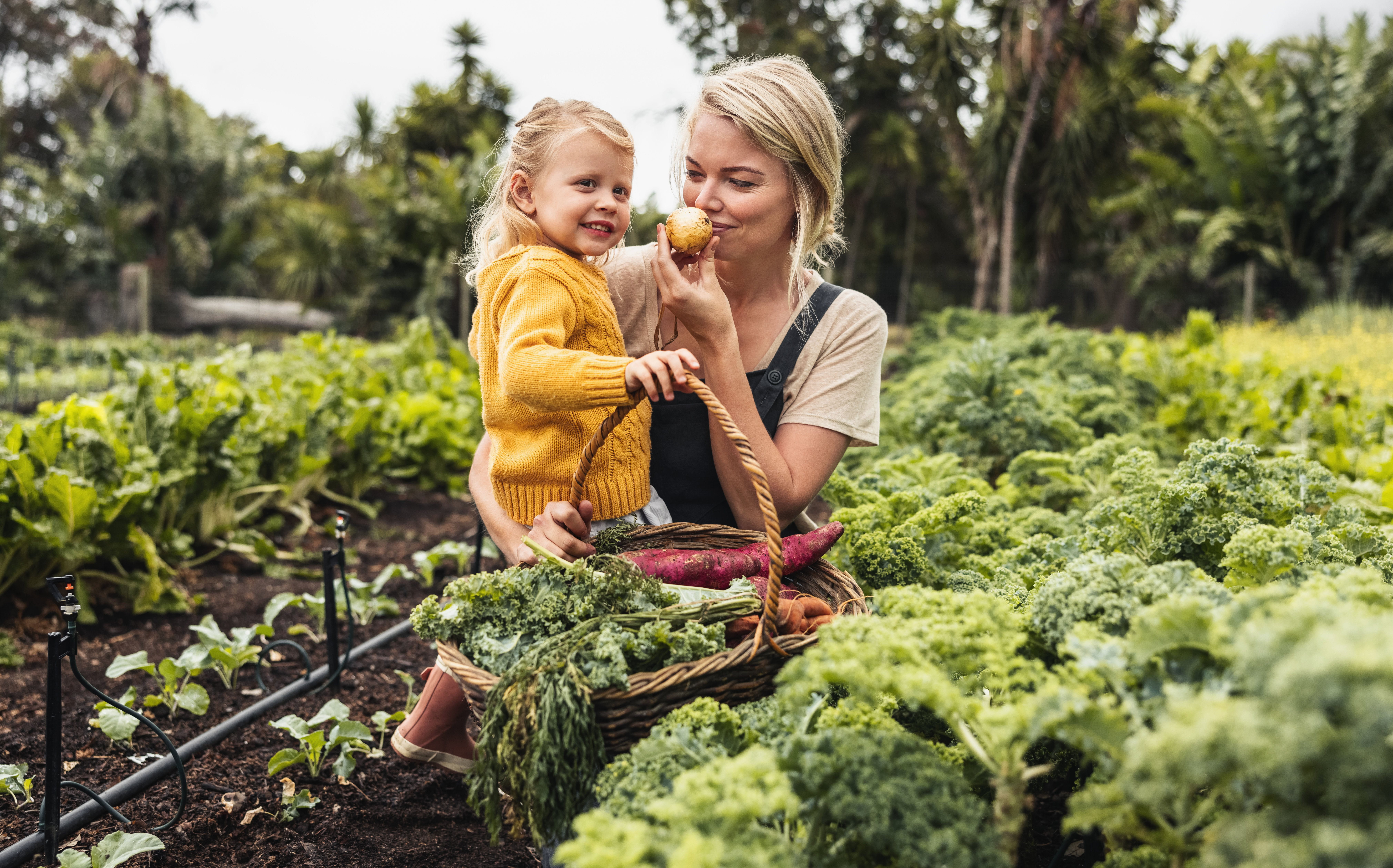 Une femme et un enfant tiennent un panier de légumes dans un jardin.