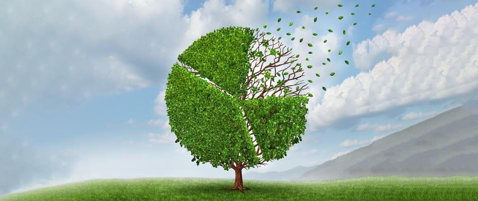 Prévoyance professionnelle: le franc épargné recèle bien plus de potentiel Prévoyance professionnelle: le franc épargné recèle bien plus de potentiel